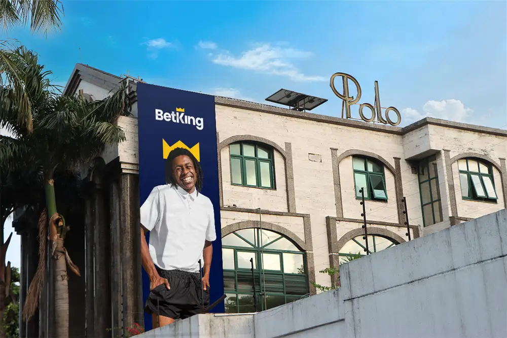 Polo Banner