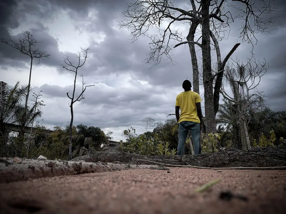 man standing beside a tree