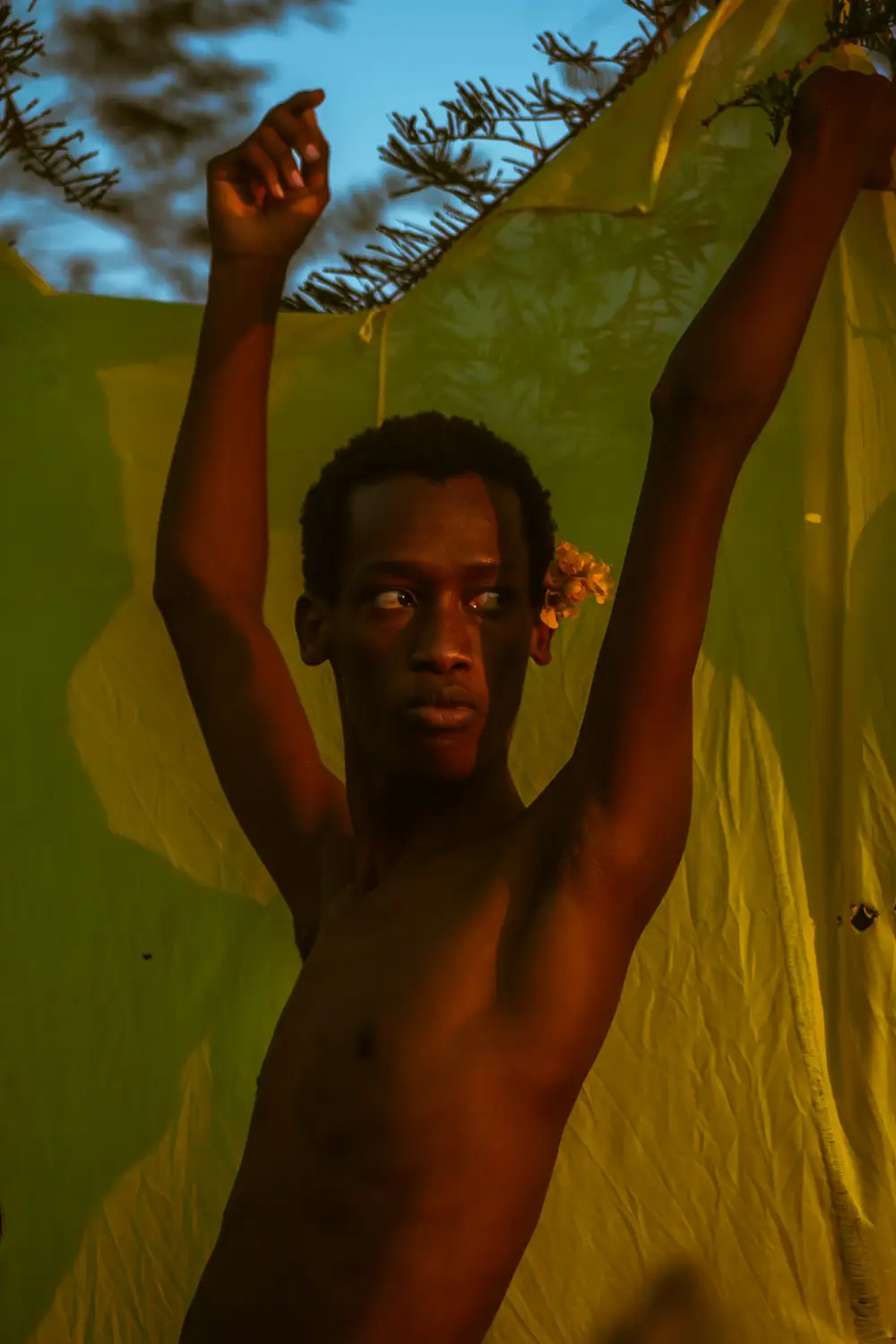 Shirtless man in front of a yellow backdrop with his hands up