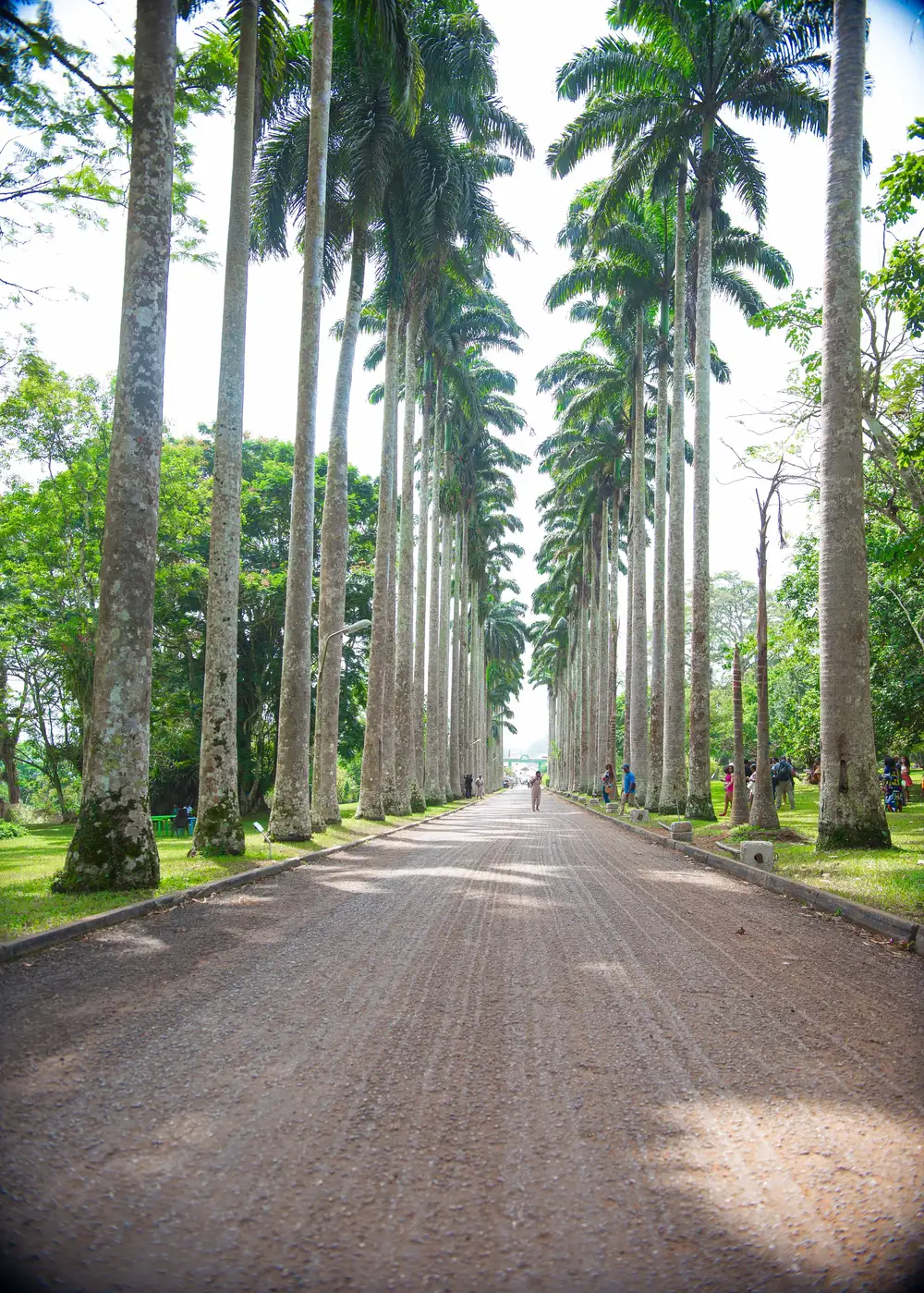 Beautiful road