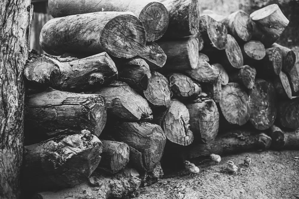 Stacked wood in black and white