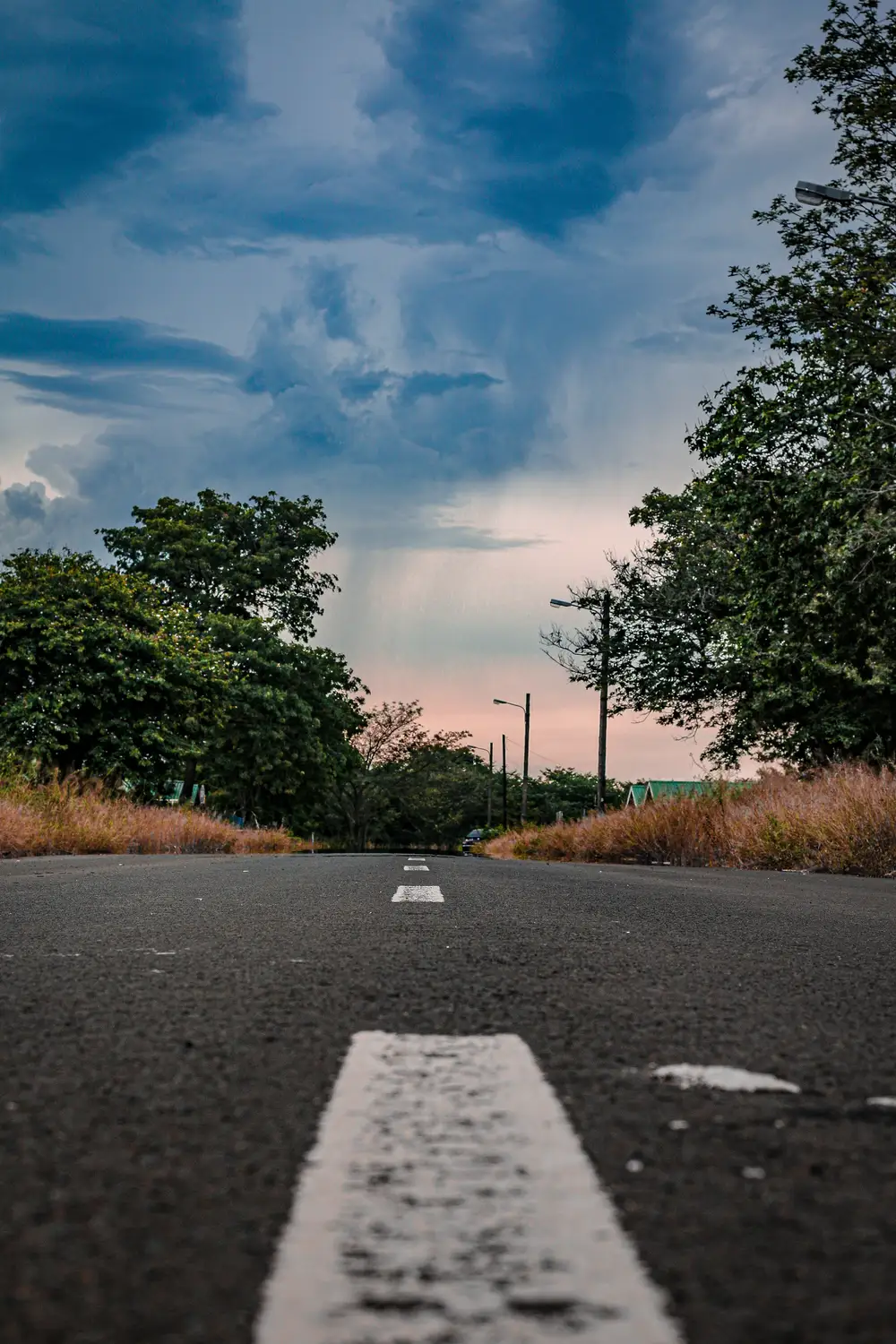 wide view of the road with trees by the side