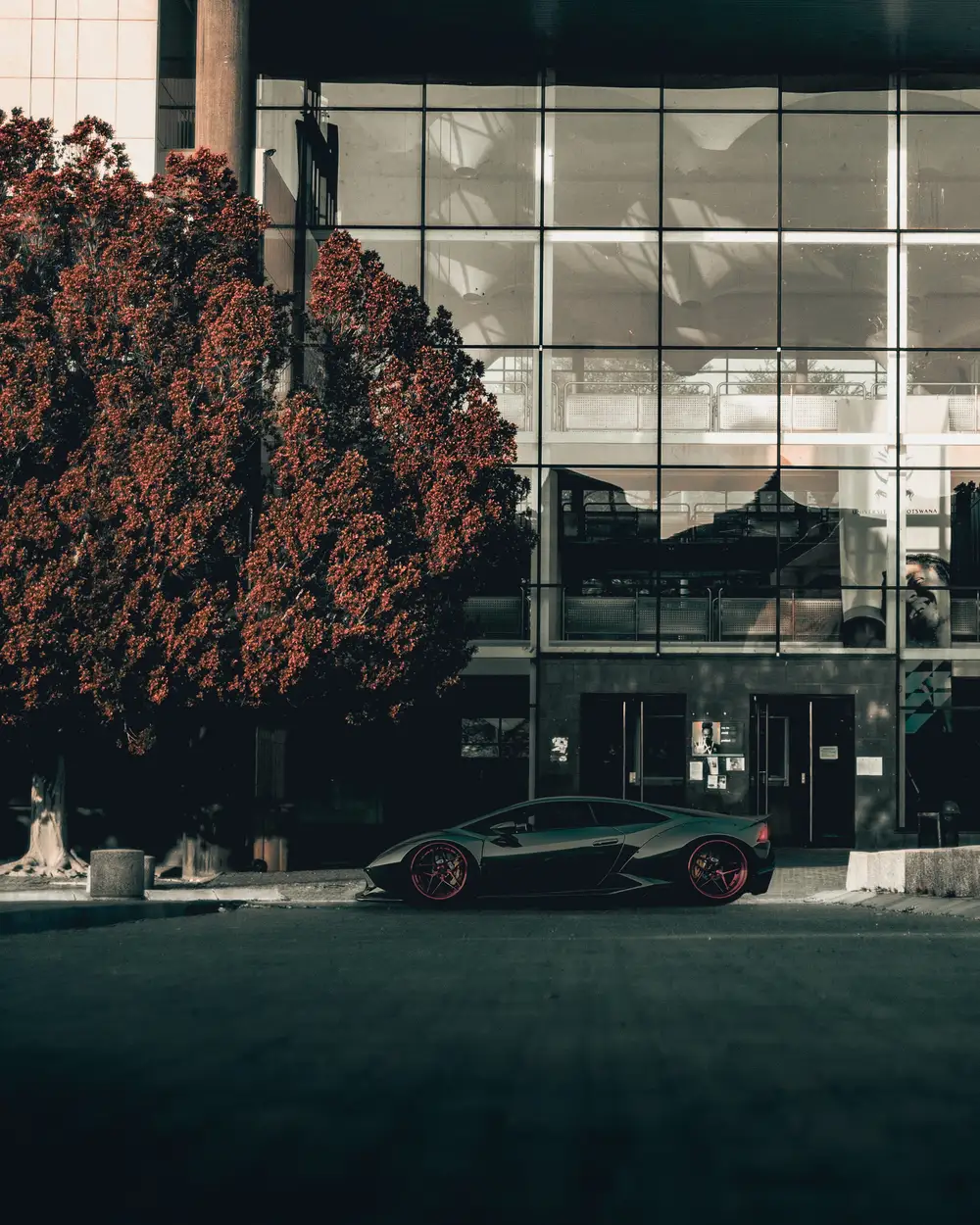 Amazing car beside a red tree