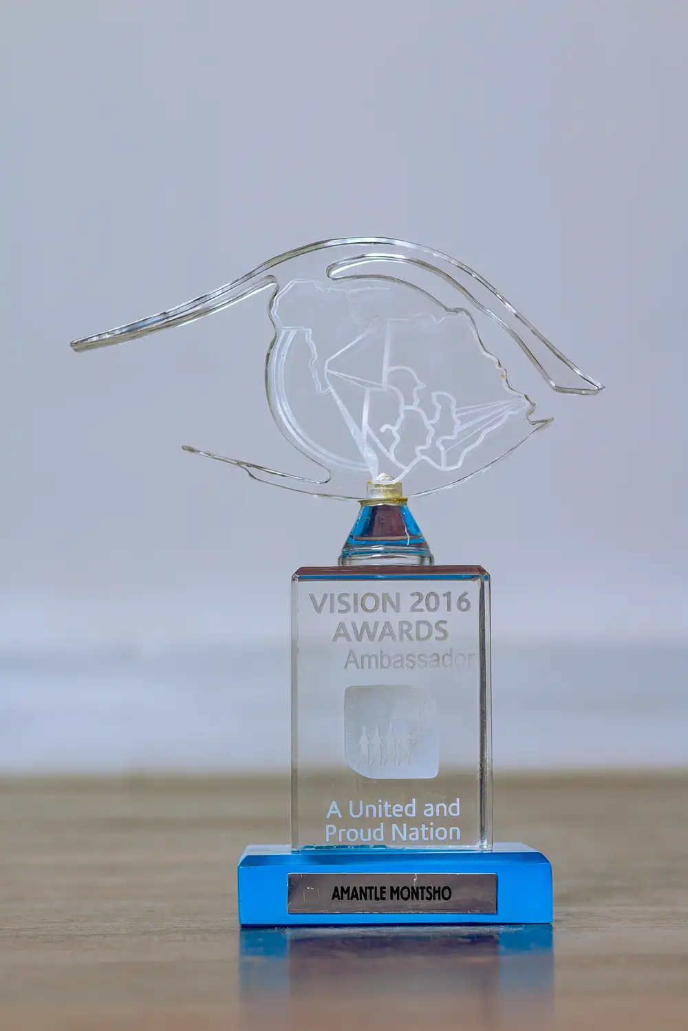 Vision 2016 AWARD