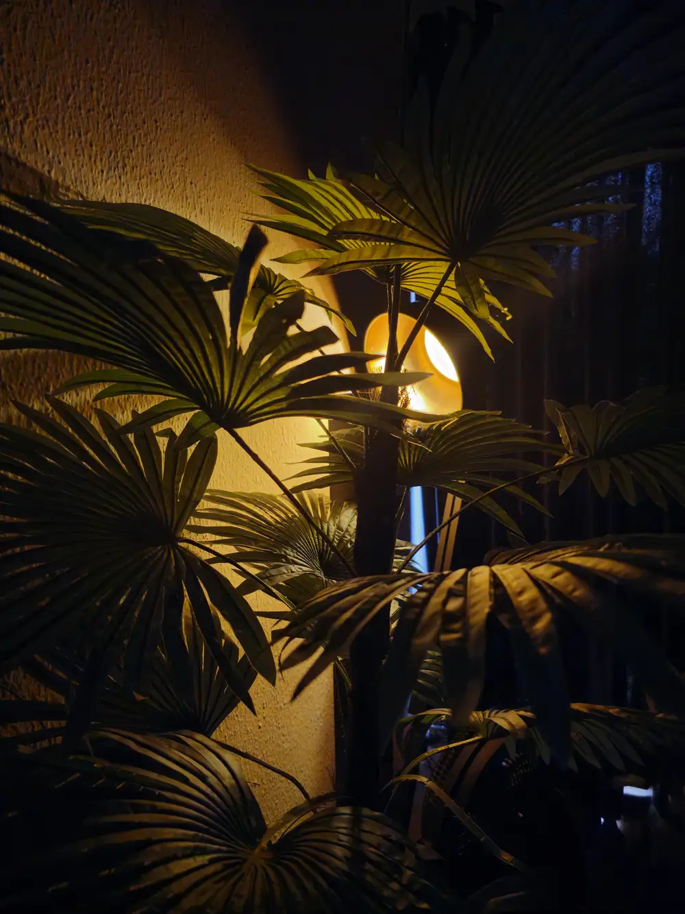 A plant and a lamp