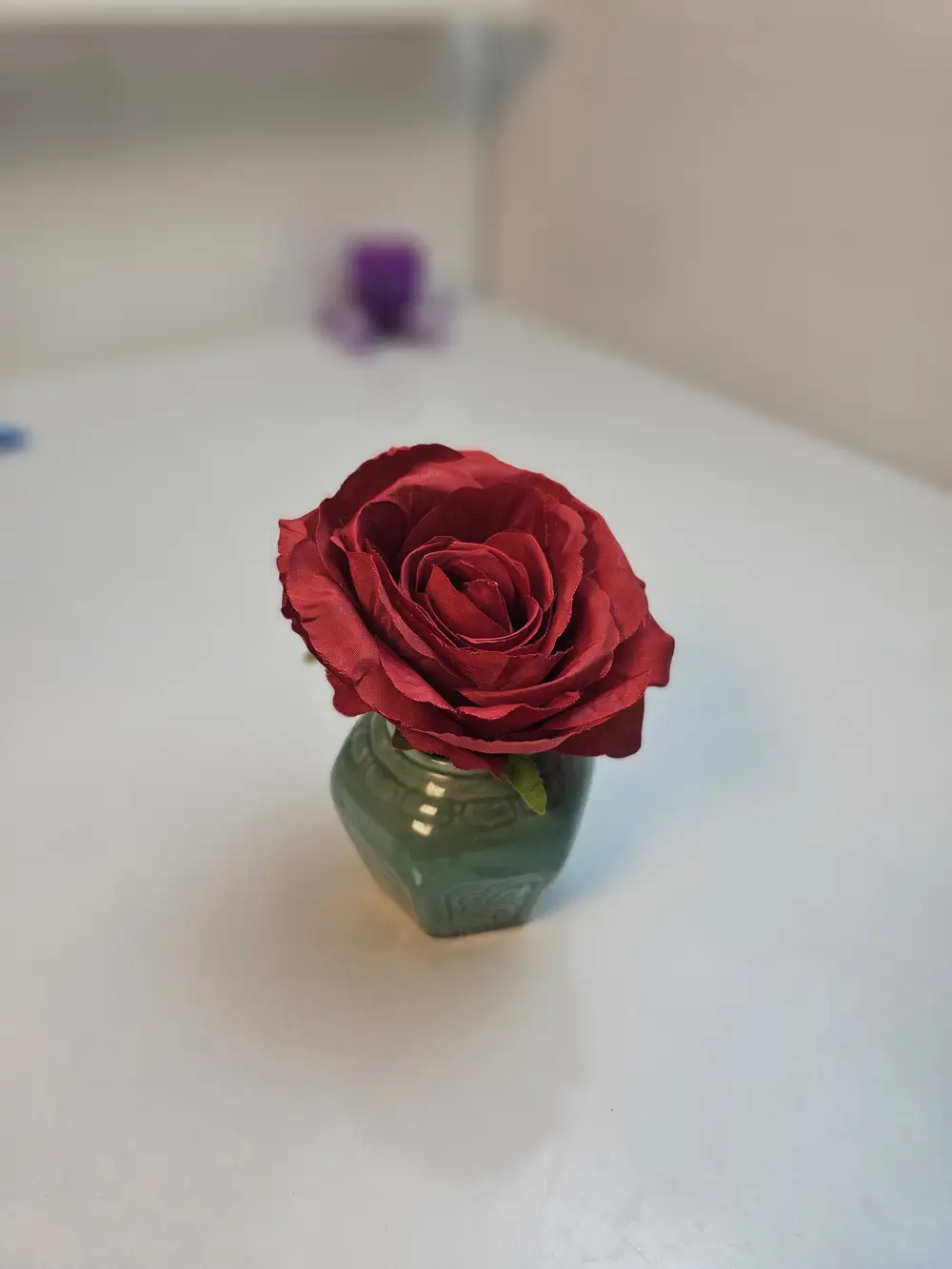 Red rose in a vase