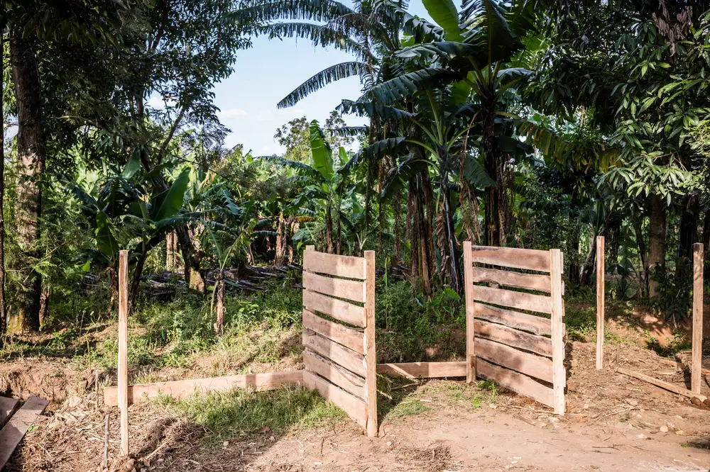 Farm with banana trees and other tress