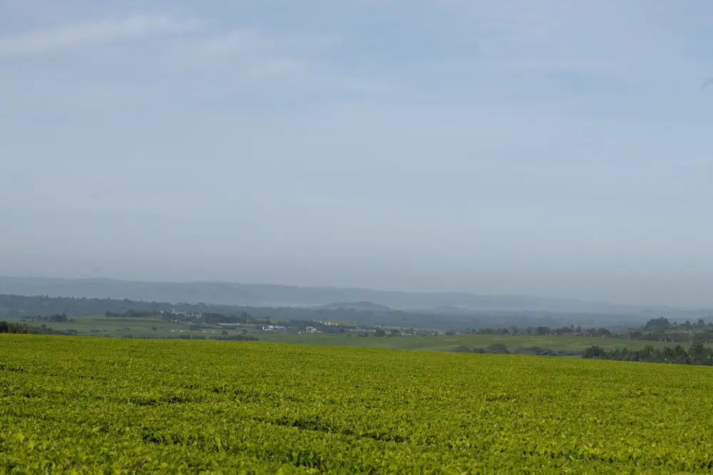 Farm land and blue sky landscape