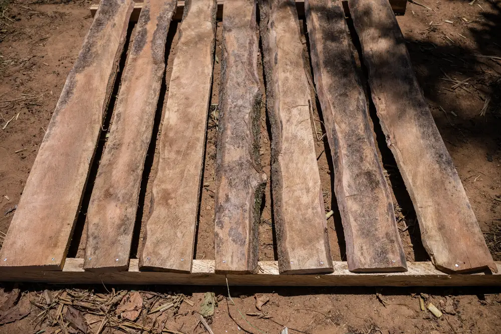 Wooden planks processed from trees