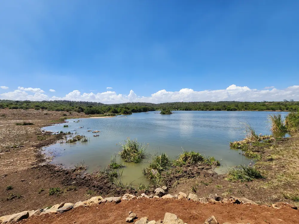 Edge of the Lake