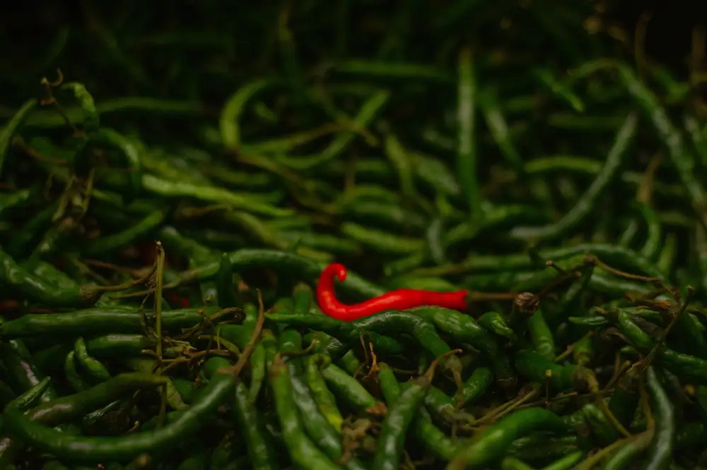 Red pepper amongst green pepper