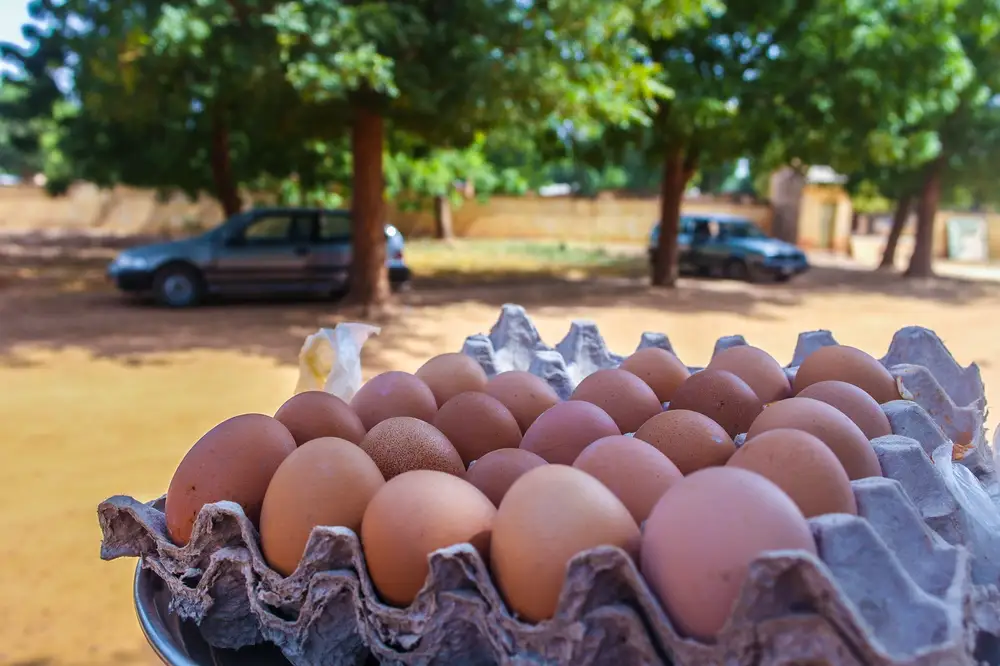 A crate of eggs outside