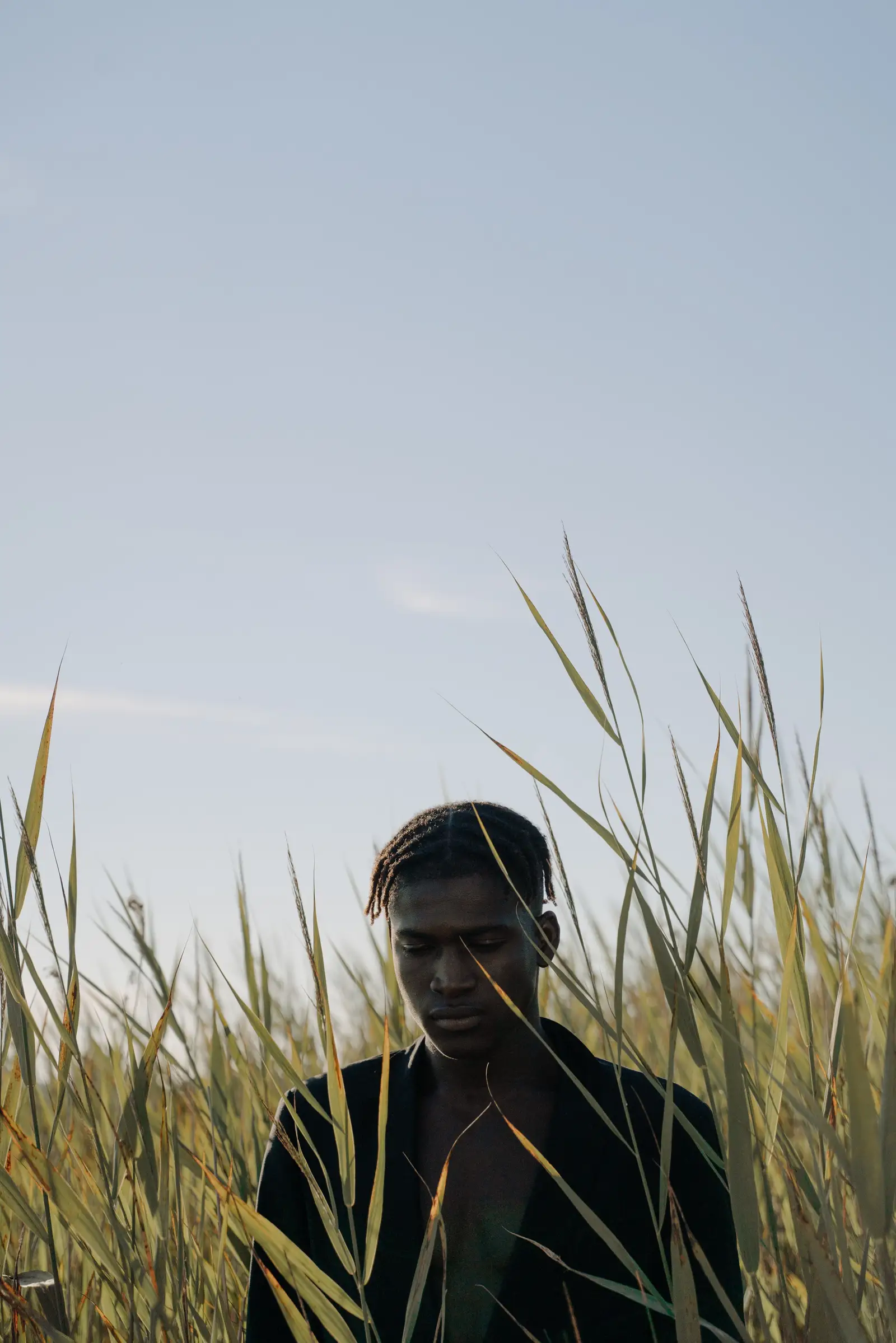 Cottonbro Studio Cottonbros Retna Creator