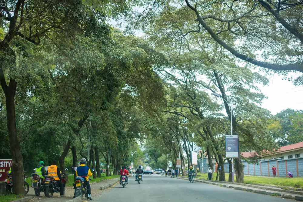 Bikers on a beautiful busy street