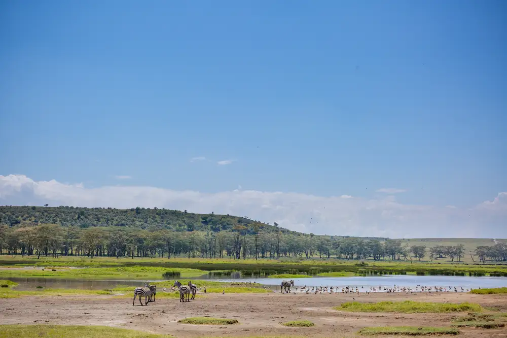 Lakeside view at Nakuru national park