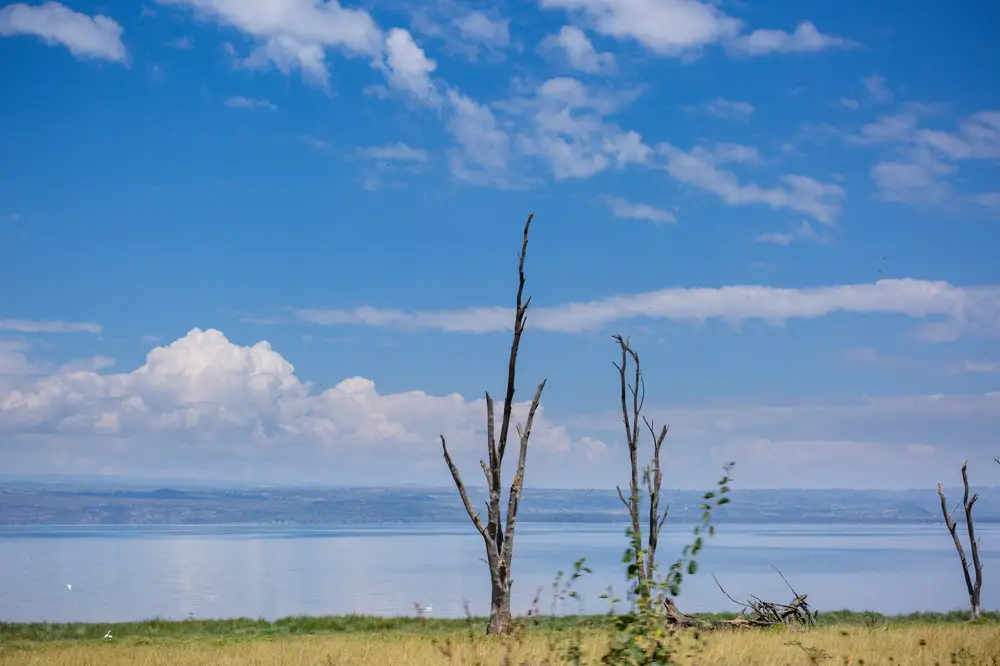 Nakuru national park lake