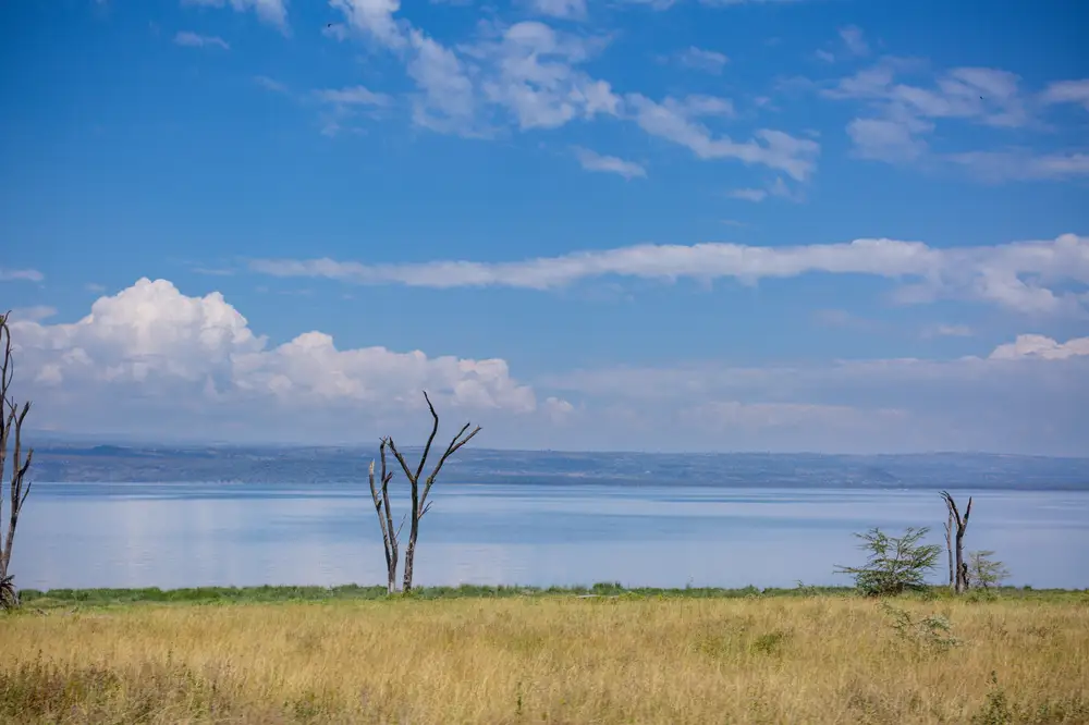 Lakeview at Nakuru national park