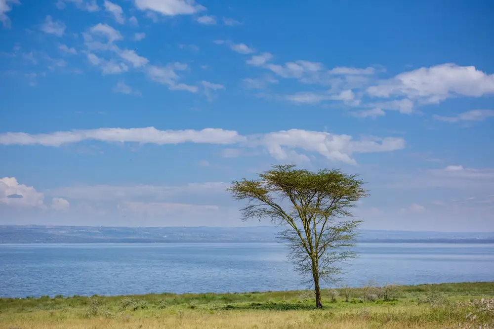 Lake view at Nakuru national park