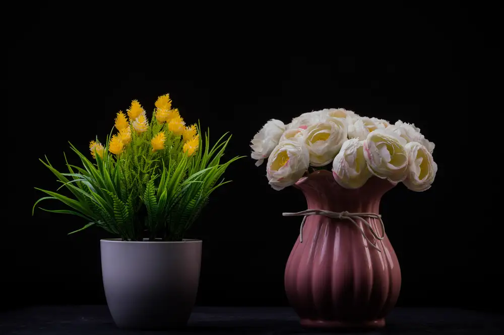 Decorative flower vases with blooming flowers
