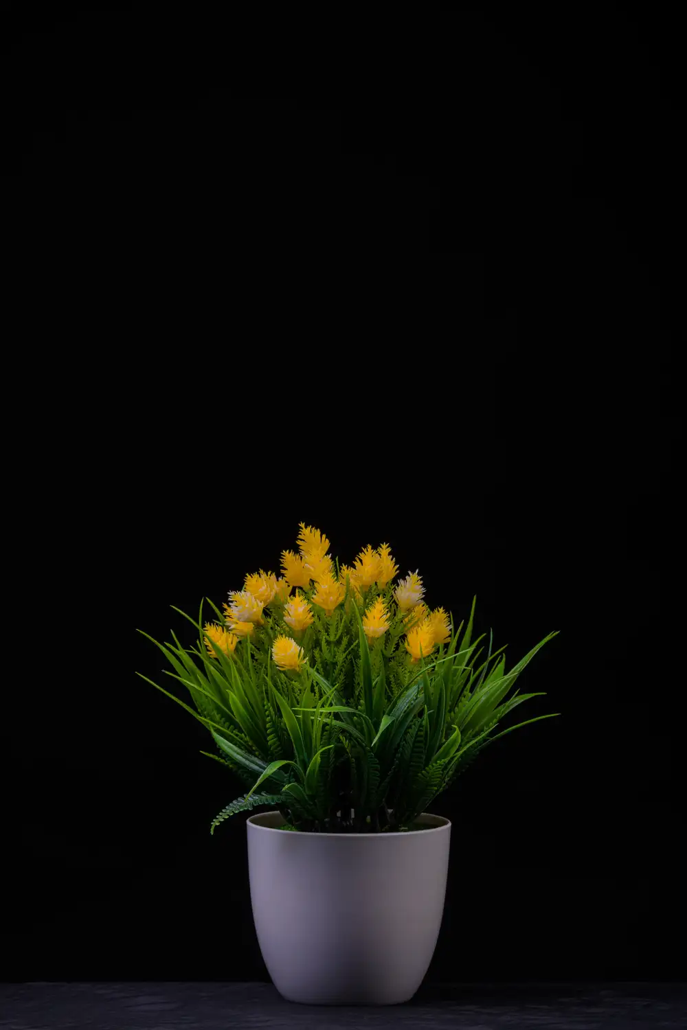 Landscape photograph of a flower vase