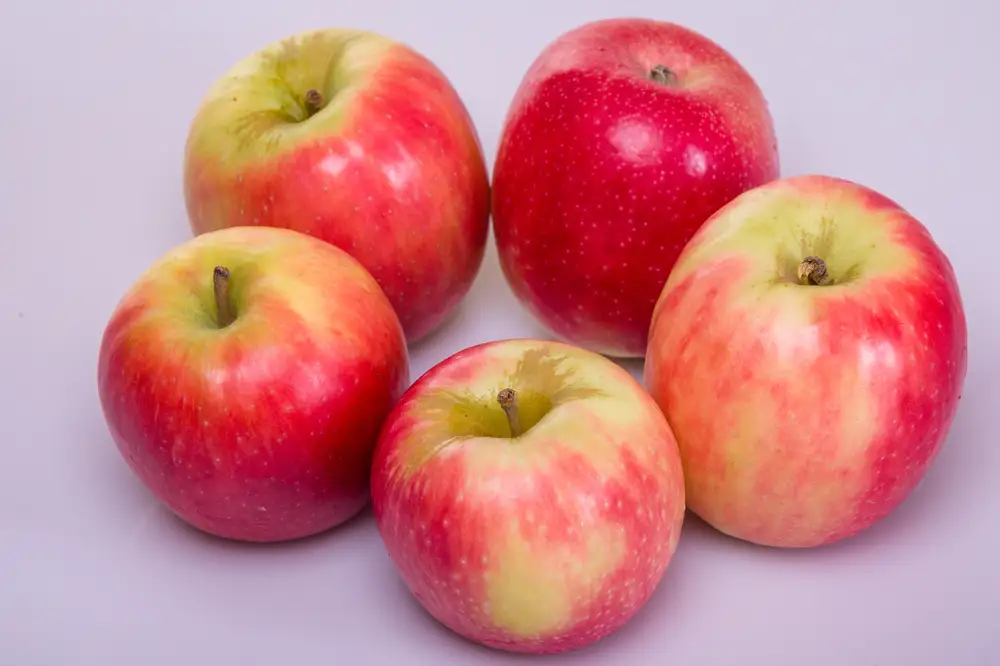Mixed apple fruits