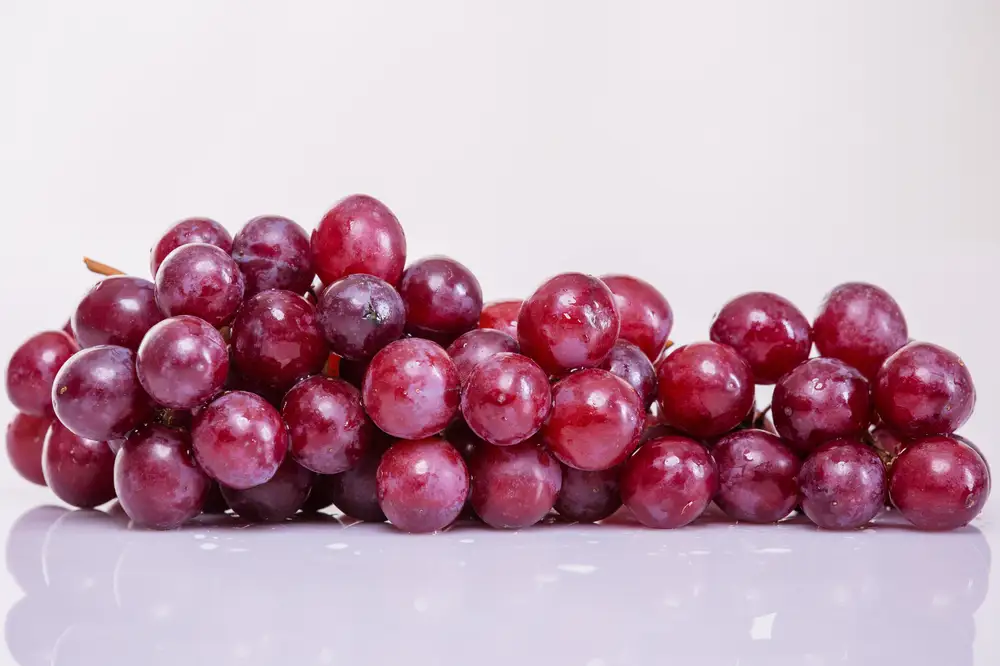 Sweet ripe red grapes