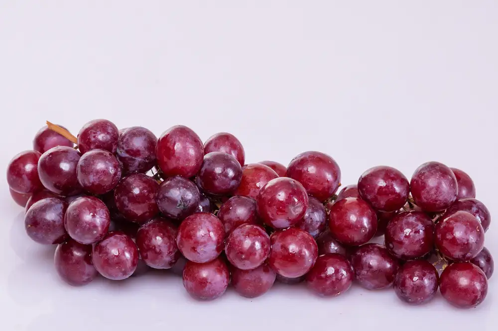 Bunch of sweet red grapes