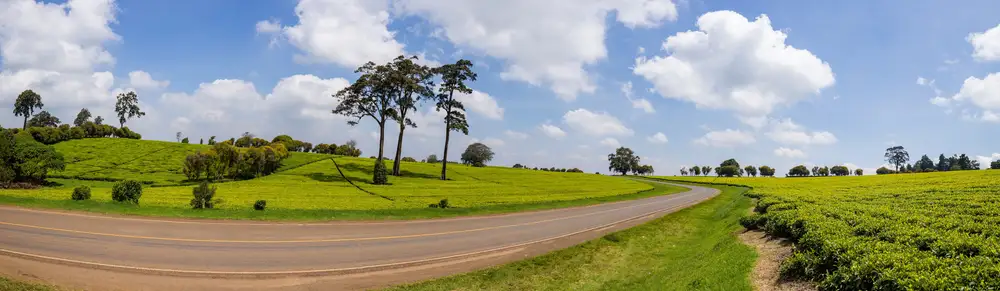 Beautiful road at green hills