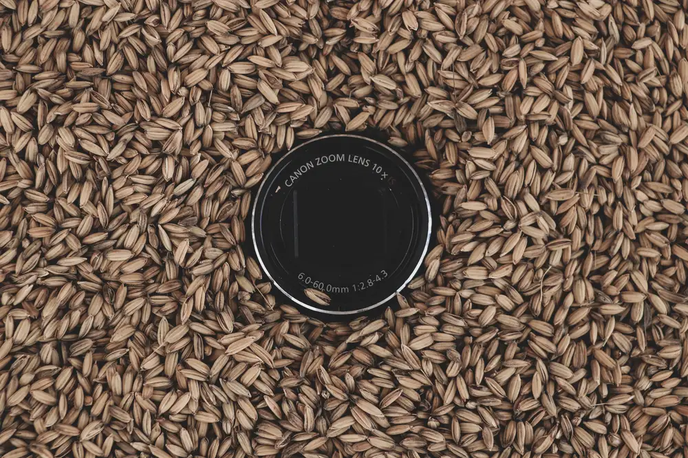 camera lens in a pile of brown rice