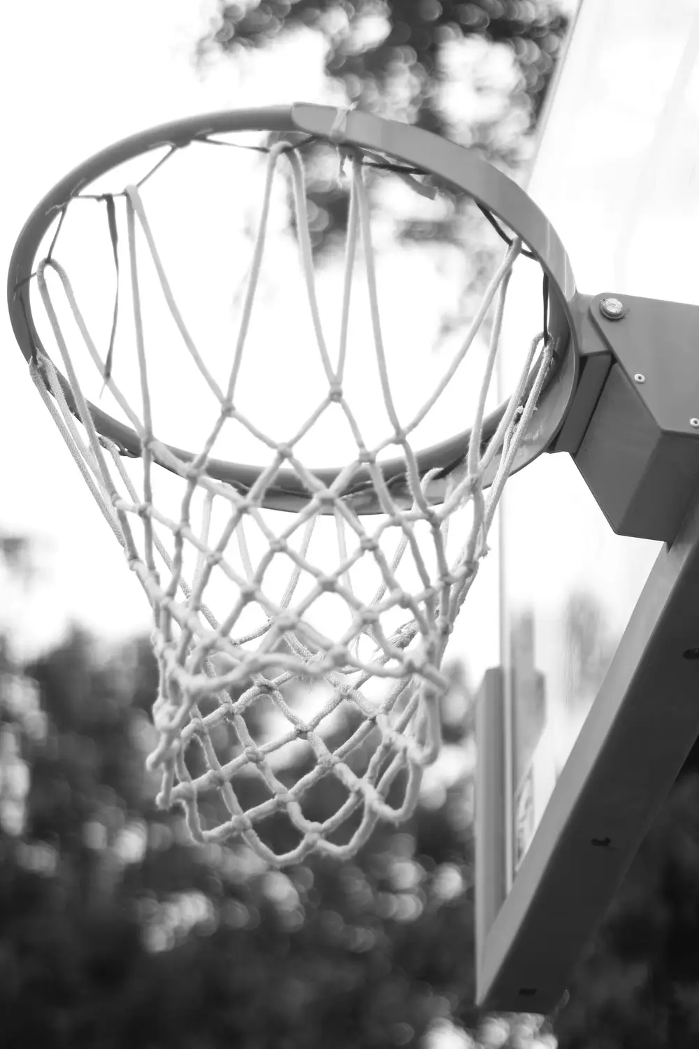 Basketball bucket