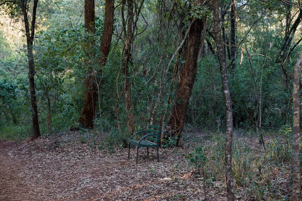 Lovers chair in a bush