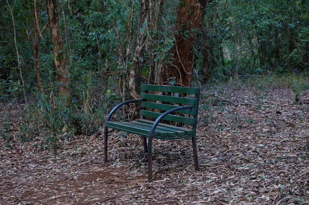 Lazy chair in a forest