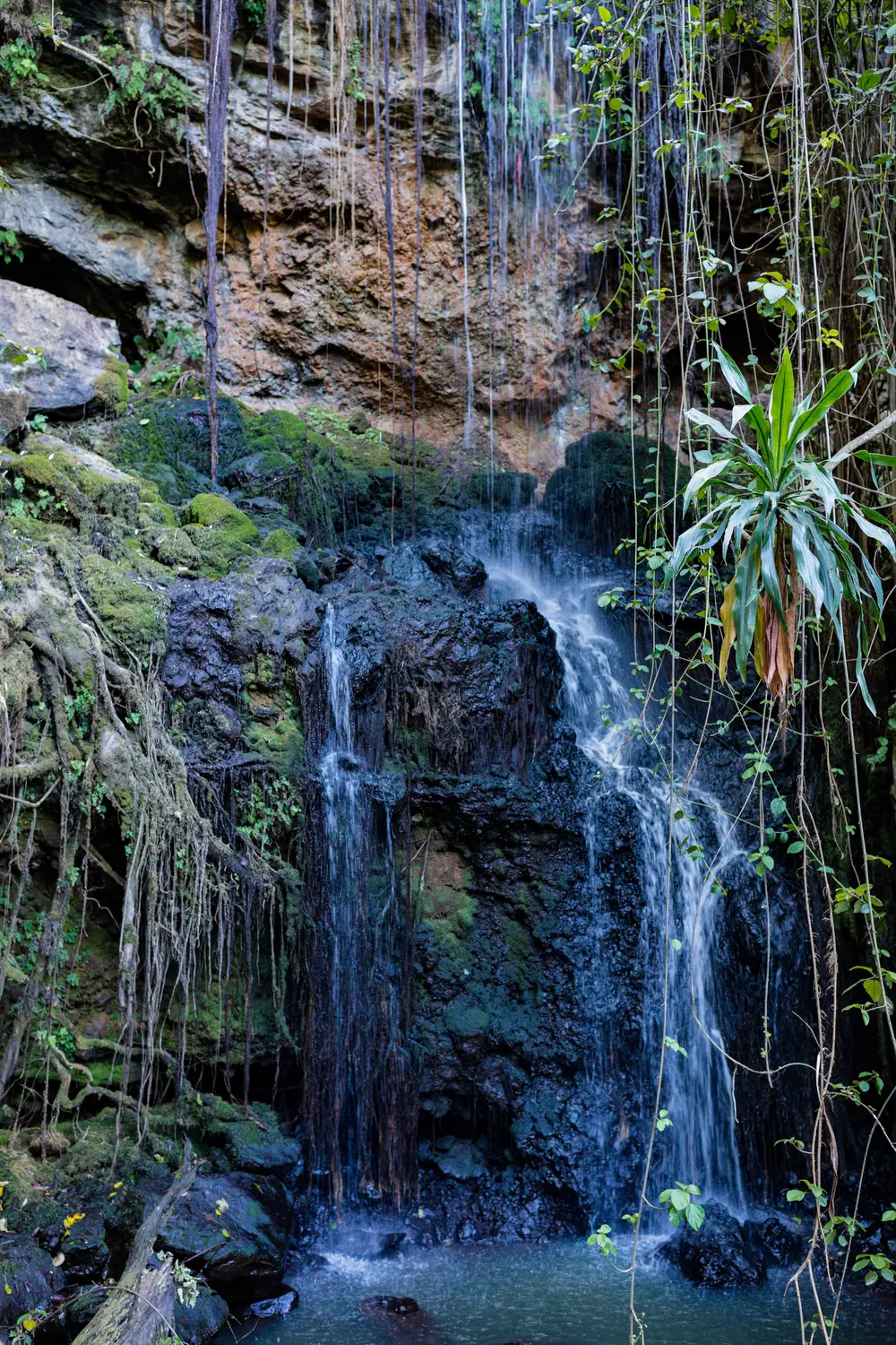 Close view of waterfalls