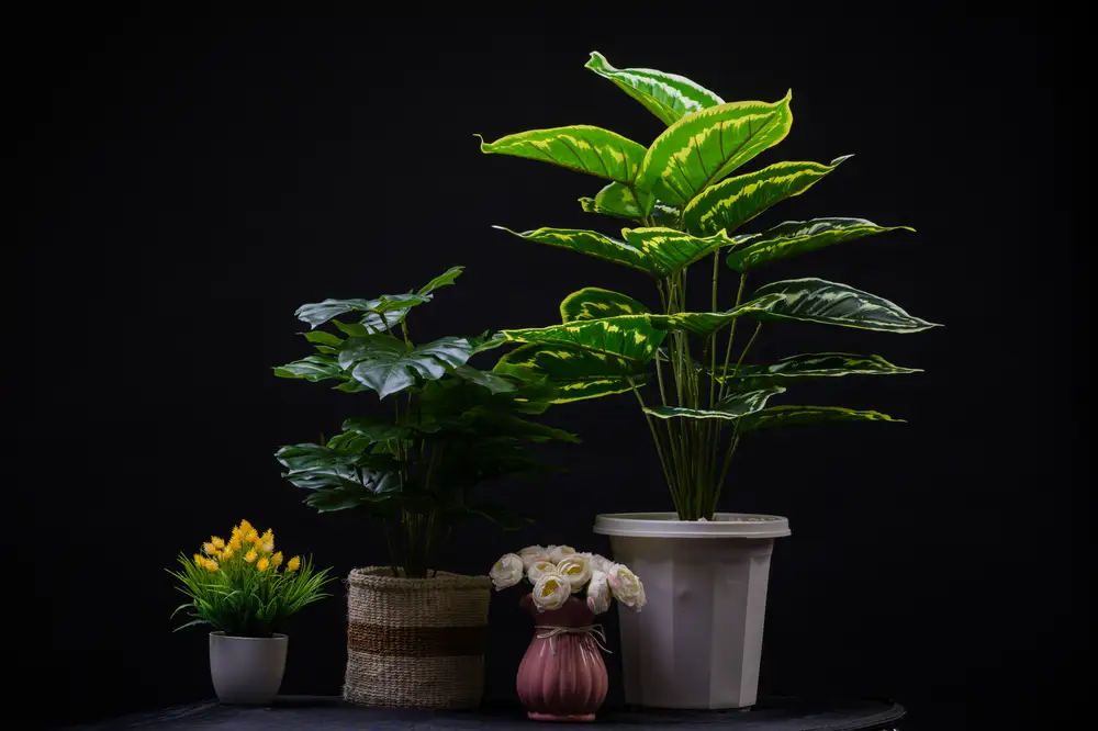 Artificial decorations plants
