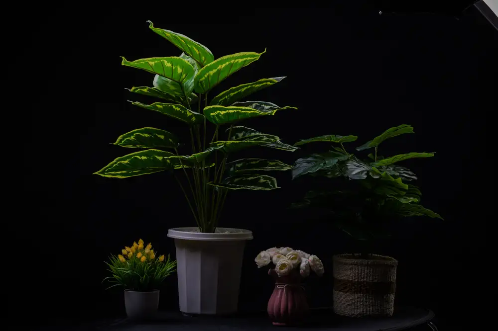 Artificial plants