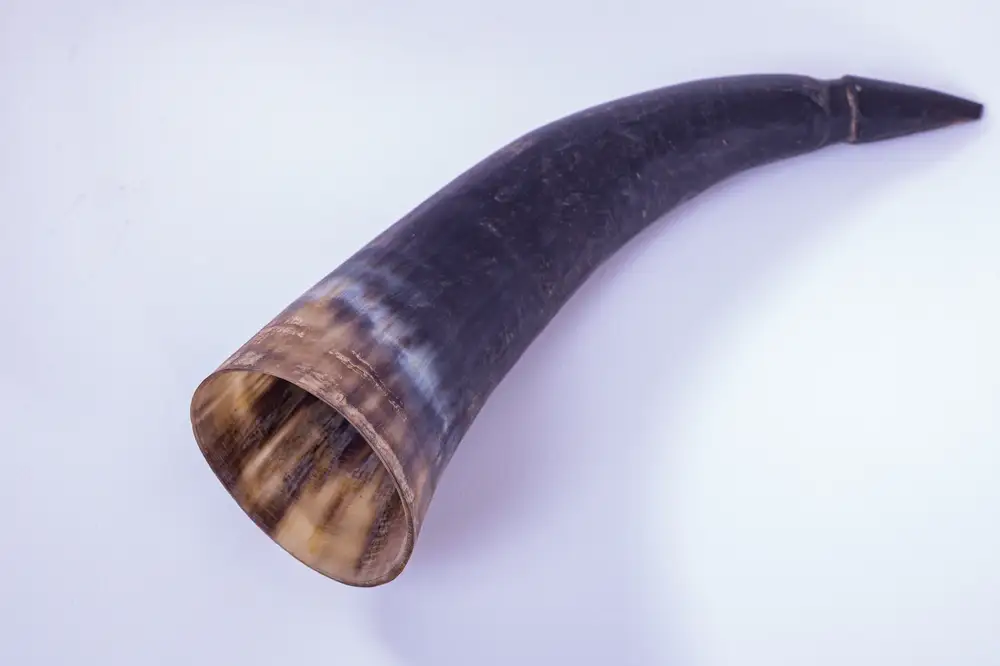 Bronze tusk