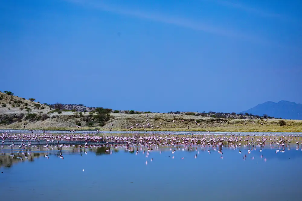 Kenyatta lake