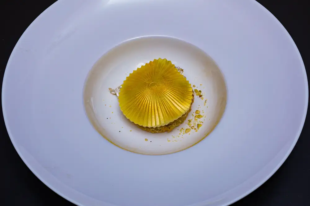 Edible Golden shell