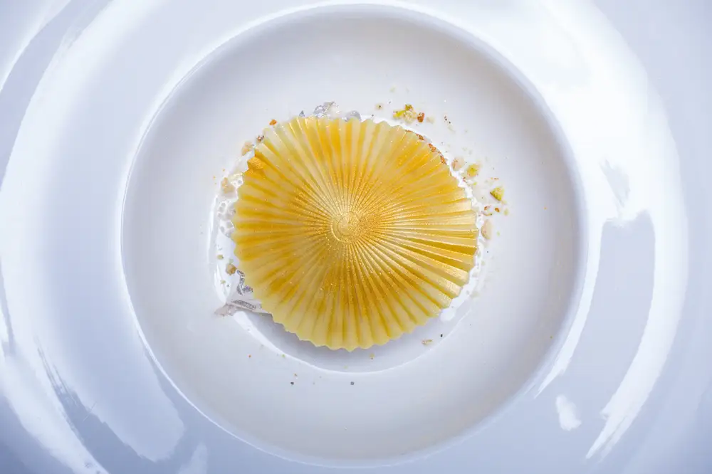 Culinary arts  with sea shell