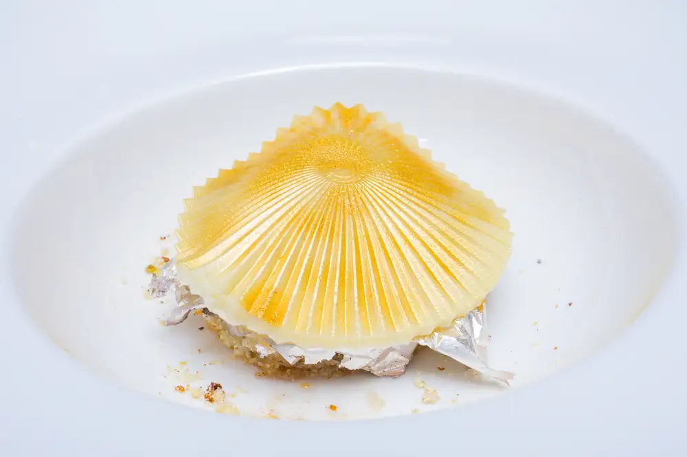 oyster shell as an edible art