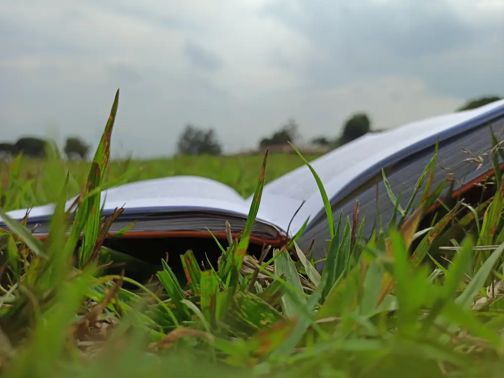 A book on grass