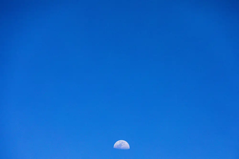 Half Moon in the evening sky