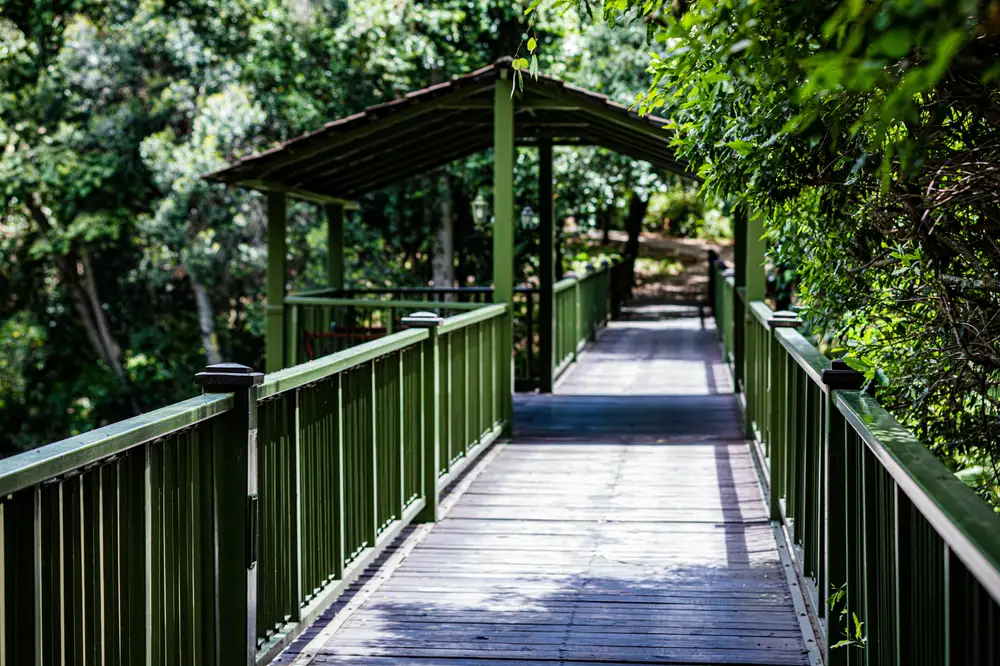 Wooden Bridge in the woods
