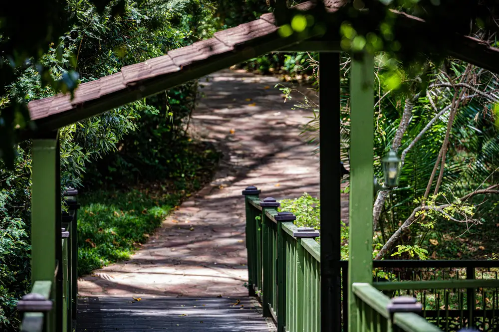 Wooden bridge and bush path