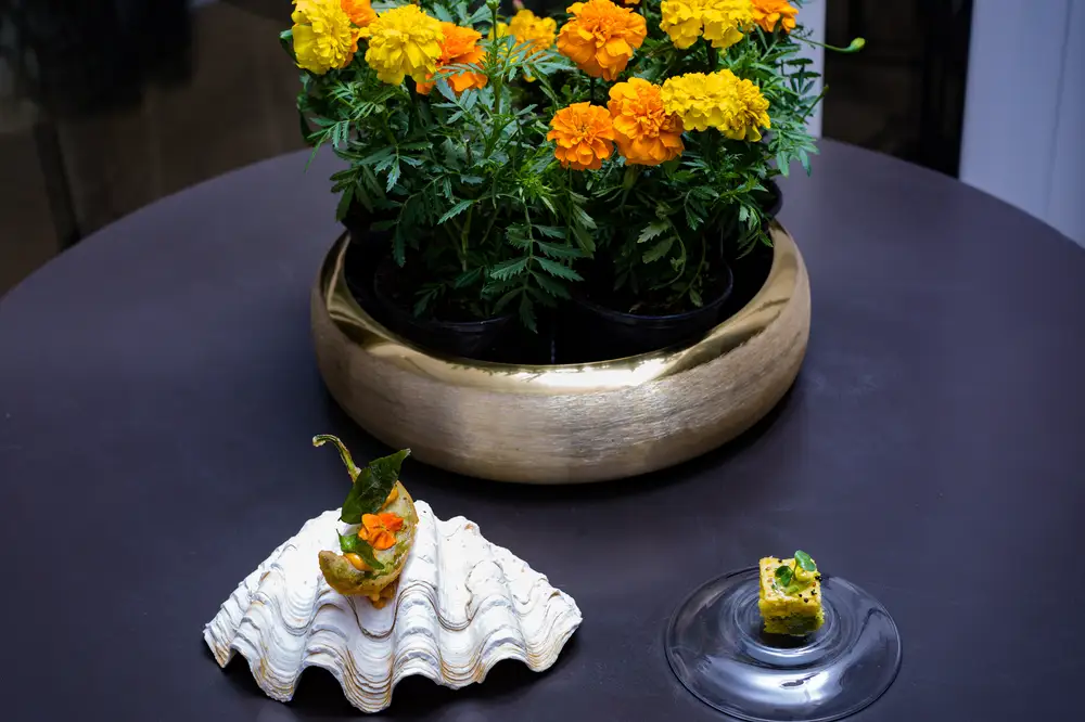 Shell placed beside a flower pot