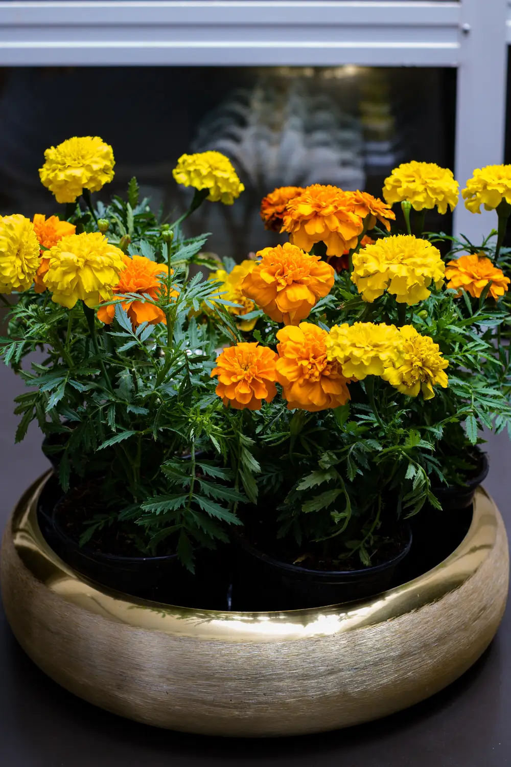 Orange flowers with green leaves in a vase