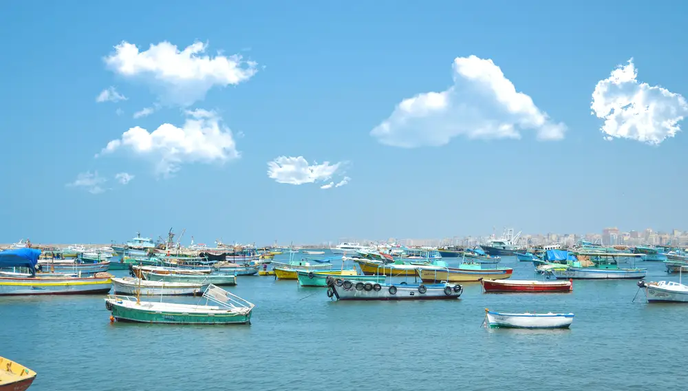 Ships at harbour