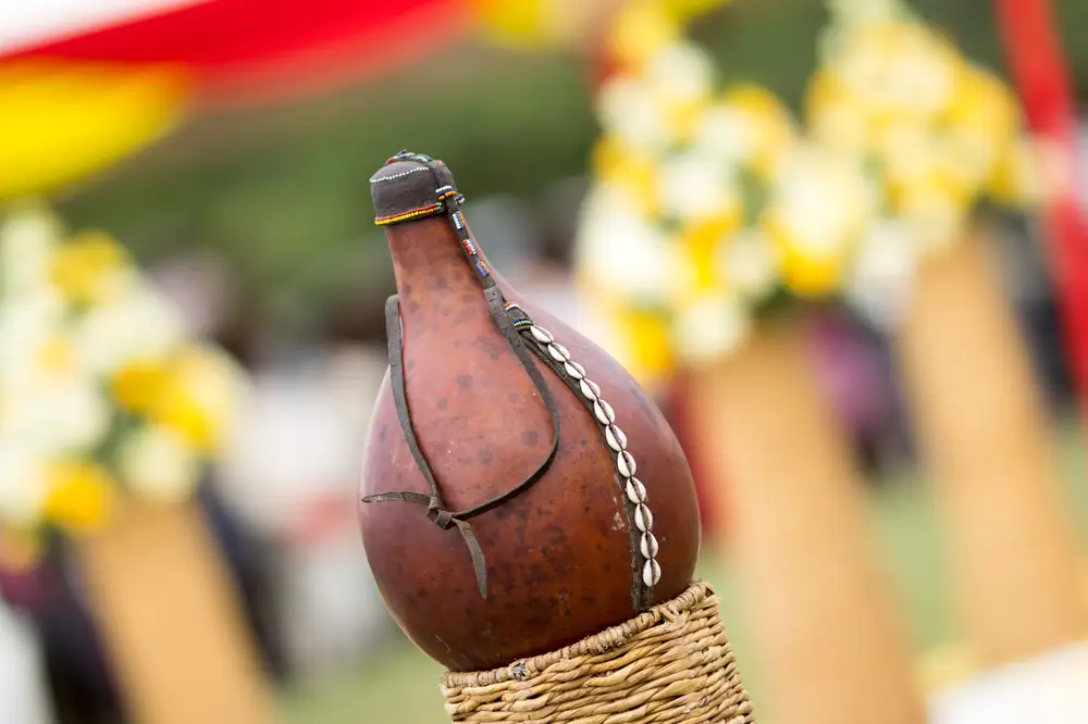 African Palm wine Gourd decorated with Cowries
