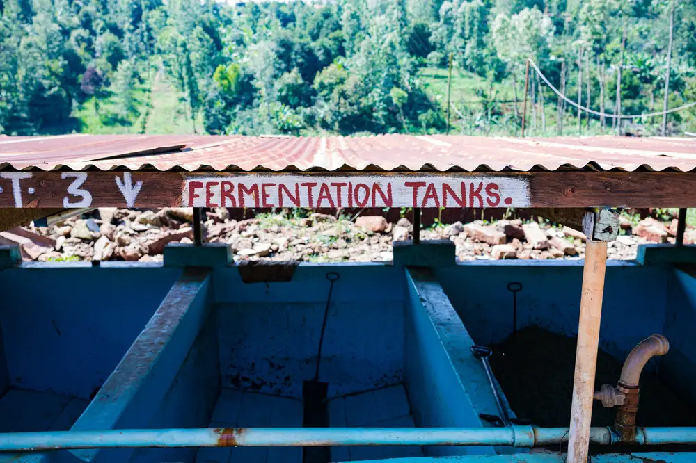 Coffee Fermentation Tank on a farm