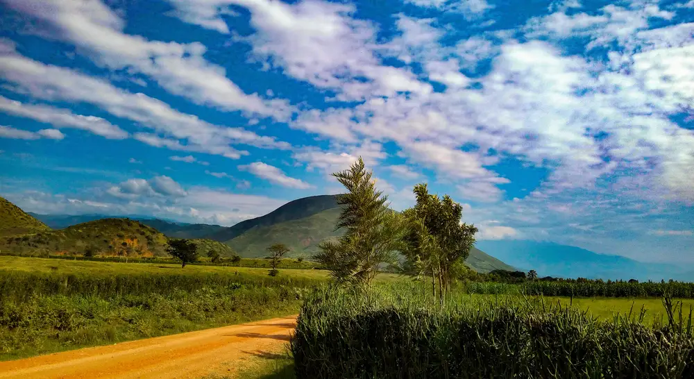 Beautiful green landscape